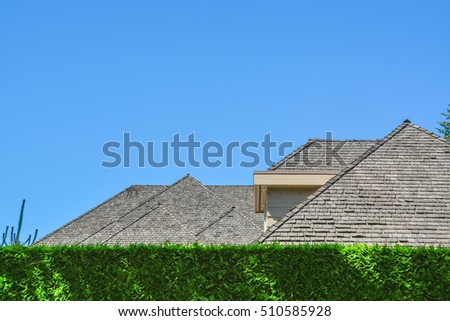 Similar – Image, Stock Photo Green hedge with blue sky and trees on the background, closeup of a hedge home garden in the summer nature