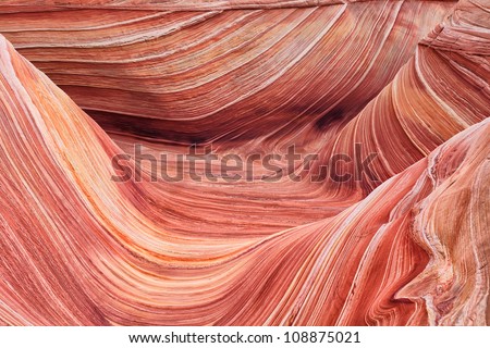 The Wave./

The heart of the wave or the deeper point of this magnificent sand rock formation is where the lines meet and extend as veins of the wave.