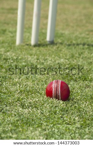 Cricket ball on grass