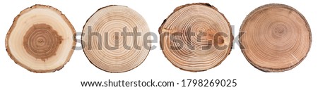 Similar – Image, Stock Photo Old segments Wood Pattern