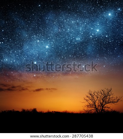 A single tree with beautiful space background. Elements of this image furnished by NASA.