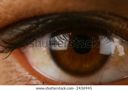 Extreme Close Up of human eye showing veins, pupils