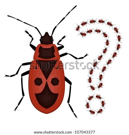 Beetle and the question mark of the small beetles