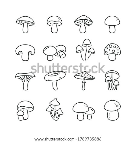 Mushrooms related icons: thin vector icon set, black and white kit