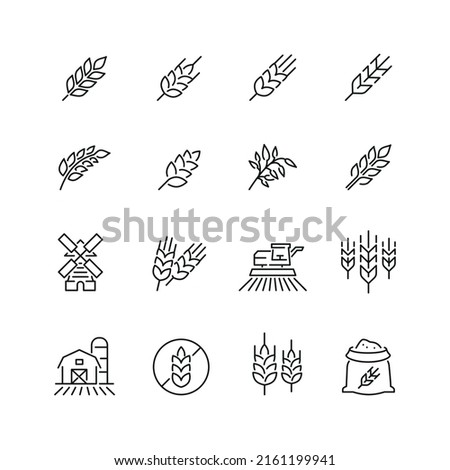 Cereal grain related icons: thin vector icon set, black and white kit
