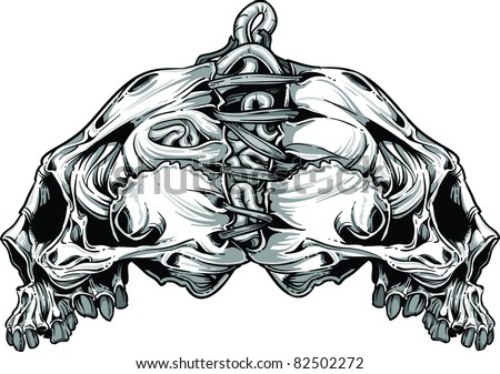 Vector Skull Illustration - 82502272 : Shutterstock