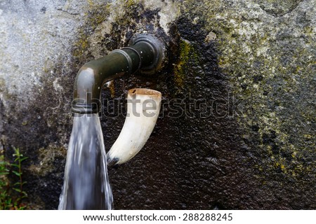 natural source of water in the Leitariegos valley, Asturias, Spain