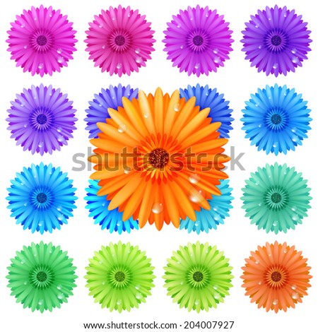 Gerbera flower set isolated on white. plus EPS10 vector file