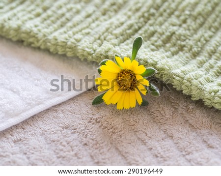 Organic cotton towel