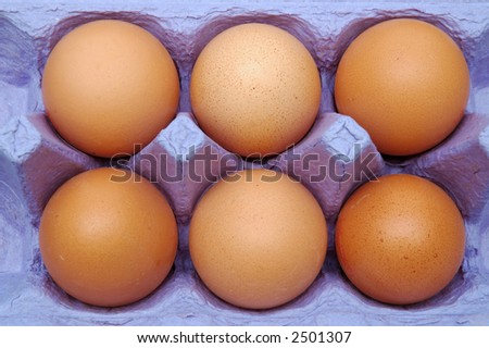 Eggs in a blue carton container