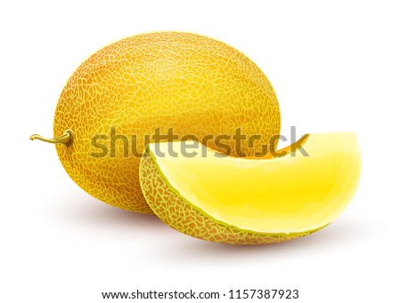 Honeydew melon. Whole fresh ripe sweet fruit with sliced juicy piece of cut. Melon realistic fruits, isolated on white background. EPS10 vector illustration.