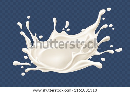 Milk splash. Realistic milky splashes and drops of dairy drink or yoghurt isolated on transparent background. EPS10 vector illustration. Gradient mesh used.