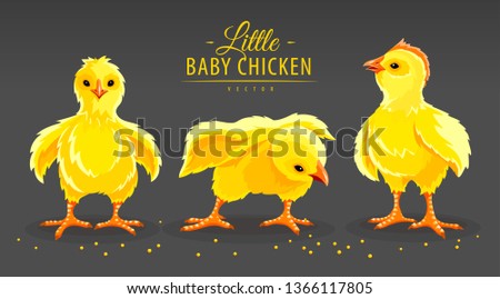 Similar – Image, Stock Photo Maise Vogel Vögel