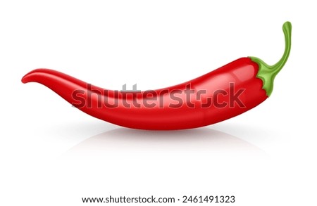 Red Hot chili pepper pod. Realistic Spicy vegetable, mexican cooking ingredient for salsa. Isolated on white background. Vector illustration.