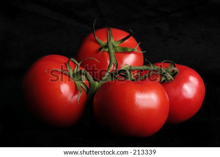 Vine ripened tomatoes on black background