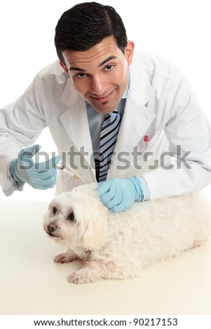 A vet treating a sick animal.  He is looking up with a friendly smile.