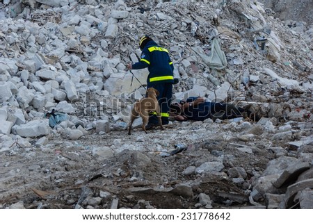 KREIS RENDSBURG-ECKERNFÃ?Â?RDE, GERMANY - JUNE 14 2014: Ruins and forests site for training future rescue dogs at the Federal Agency for Technical Relief