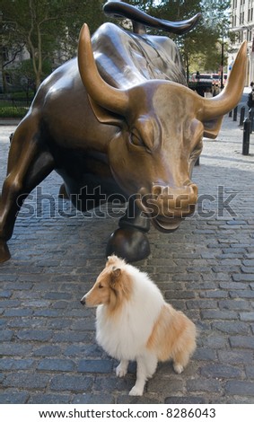 The Bull, the symbol of wall street with the dog.
