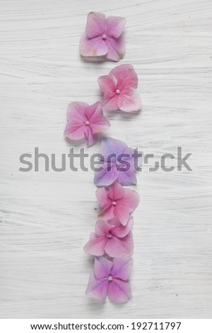 Shabby Chic Background with pink flowers