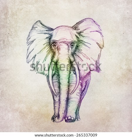 Colorful elephant drawing