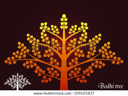 Bodhi tree vector