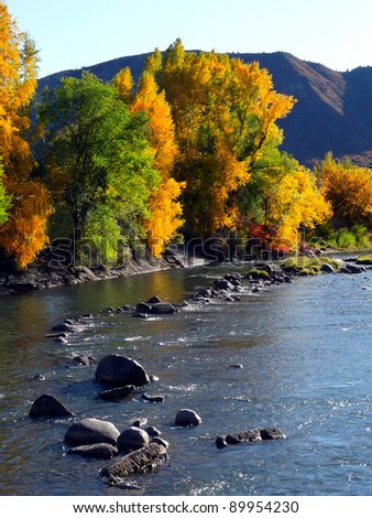 Changing leaves along a river in the Colorado Rocky Mountains