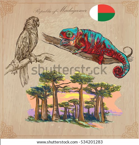 Travel MADAGASCAR. Pictures from the Nature - of one of the largest Island in the World. Vector collection. Hand drawn illustrations. Pack of freehand sketches. 