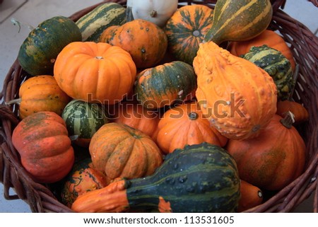 Basket full of yet not carved Halloween pumpkins ready for Halloween scary pumpkin carving\
Similar images here:\
www.shutterstock.com/sets/324863-food.html
