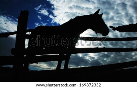horse silhouette, blue sky, hand