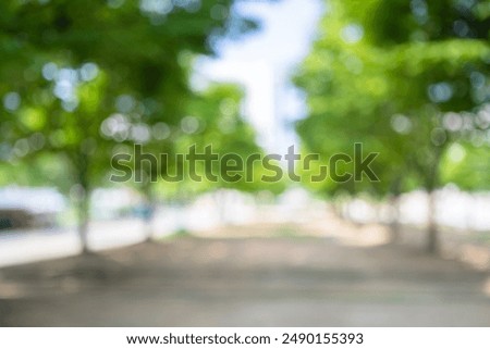 Similar – Image, Stock Photo A blurry forest in black and white