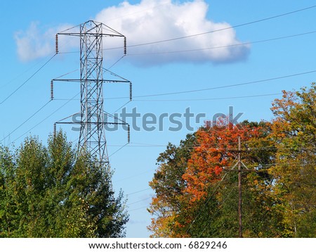 power lines and a telephone pole in the fall