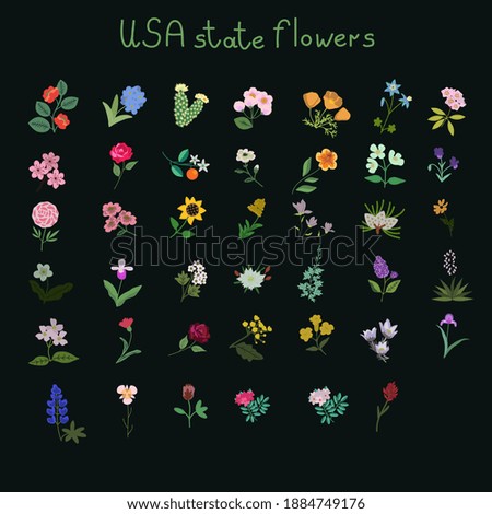 USA state flowers vector collection