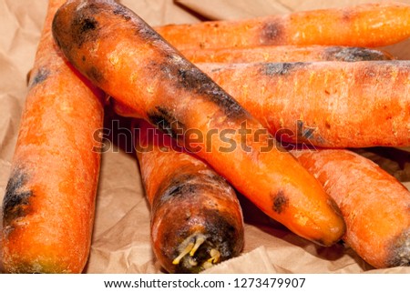 Similar – Image, Stock Photo rotting date | is rung in