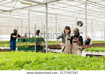 Similar – Image, Stock Photo Garden plot between two buildings in spring