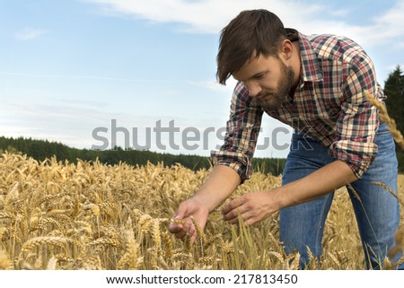 Young farmer inspecting crop, Outdoor Shot
