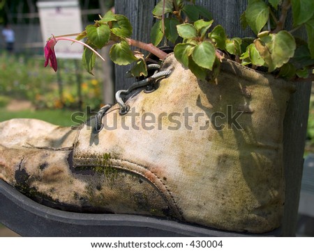 Flower Boot. Stock Photo 430004 : Shutterstock