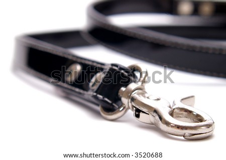 A designer dog lead of black patent leather. Isolated on white with a very shallow focus on the clasp.