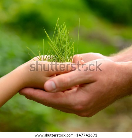 Father\'s and son\'s hands holding green growing plant over nature background. New life, spring and ecology concept
