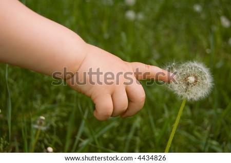 Similar – Image, Stock Photo Child hand with dandelion