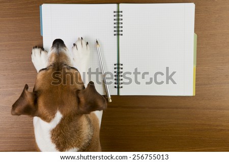 Smart Jack Russell terrier dog making notes in the album white sketch book. Empty space you can put your information.