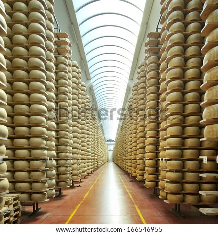 view of a maturing storehouse of parmesan cheese