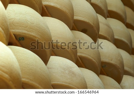freshly made parmesan cheese on shelves of a storehouse