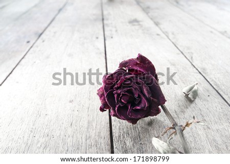 dried red rose on old wood background