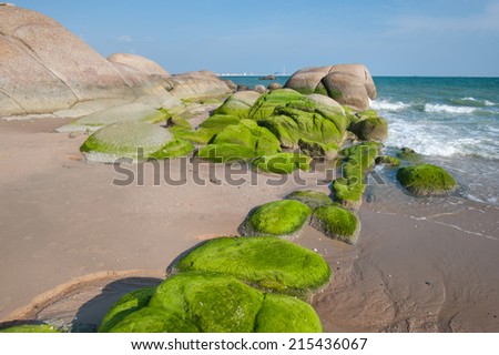 Sea rocks covered in green moss on the coast, Thailand