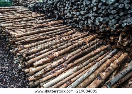 mangrove wood to be processed as charcoal