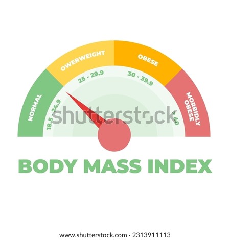 BMI or Body Mass Index meter. Vector illustration.