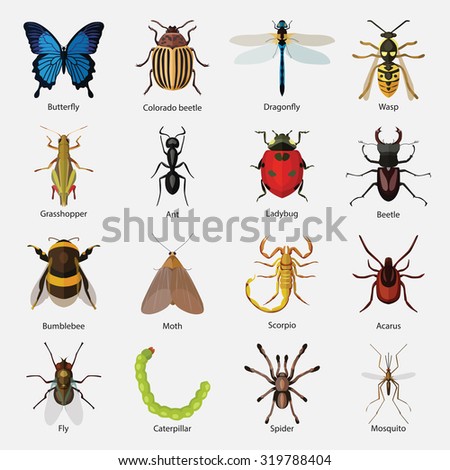 Insects Silhouettes | 123Freevectors