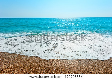 foamy wave rolls on a sandy beach