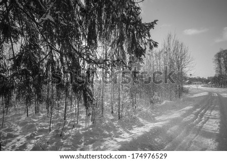 winter landscape, black and white