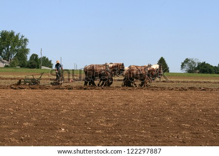 Plough Horses - an Amish farmer using traditional tools on the land